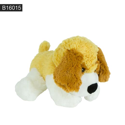 B16015 - Imagen 2