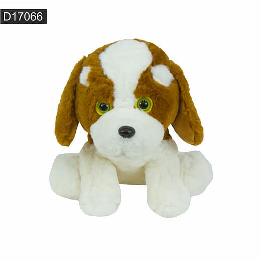 D17066 - Imagen 5